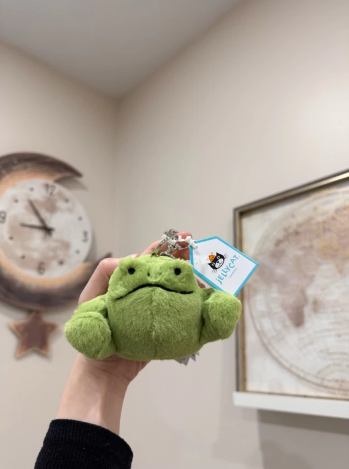 全新 Jellycat 正品|哭哭蛙/大眼青蛙🐸 吊飾/鑰匙圈 Ricky Rain Frog Bag Charm
