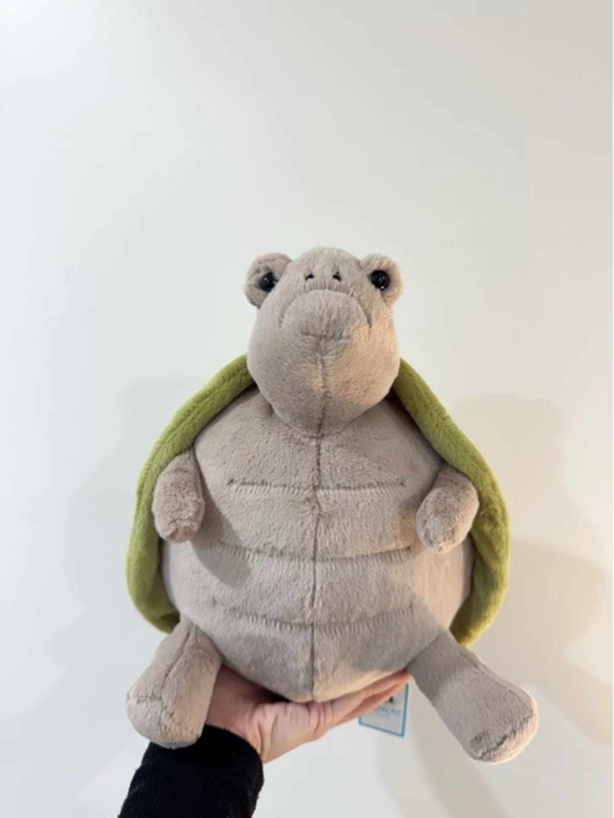 全新Jellycat正品|經典生氣臉大烏龜 🐢 28公分/47公分 Timmy Turtle