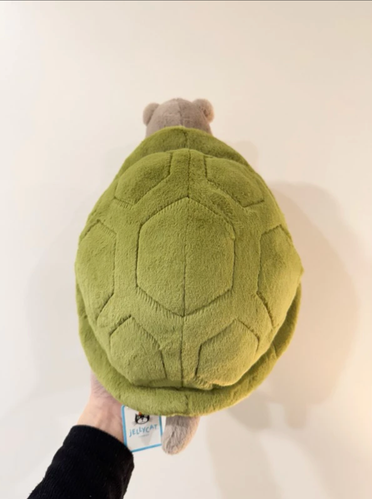 全新Jellycat正品|經典生氣臉大烏龜 🐢 28公分/47公分 Timmy Turtle