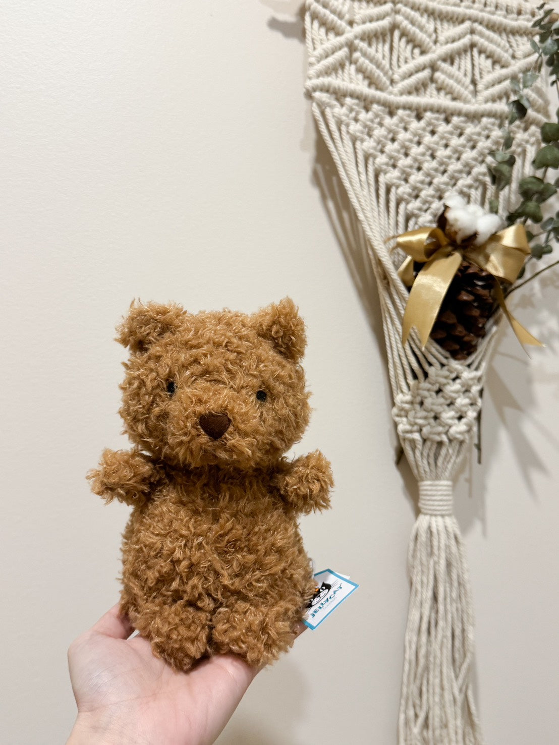 全新Jellycat正品|Little 毛茸茸小熊🐻 18公分 Little Bear