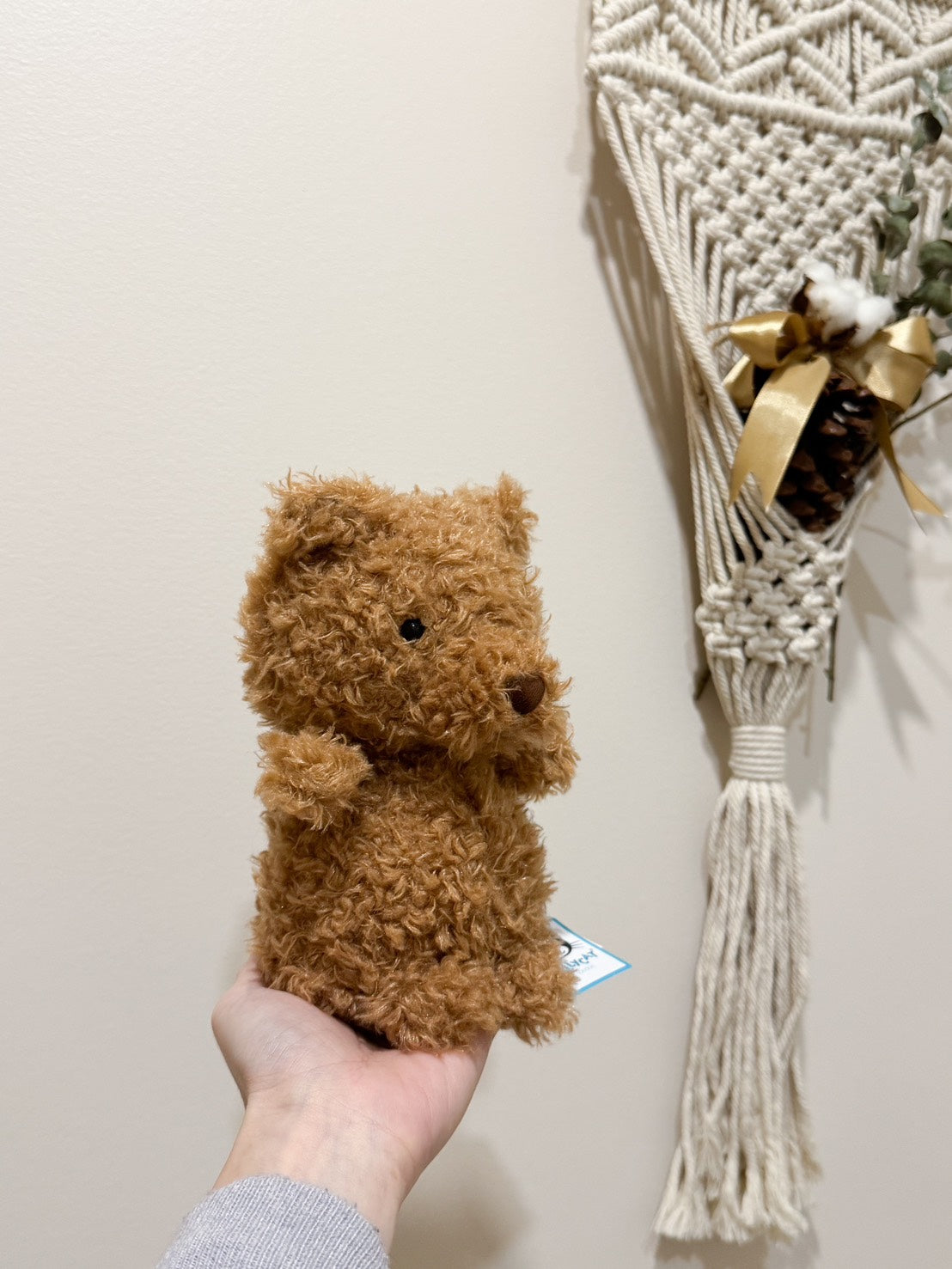 全新Jellycat正品|Little 毛茸茸小熊🐻 18公分 Little Bear