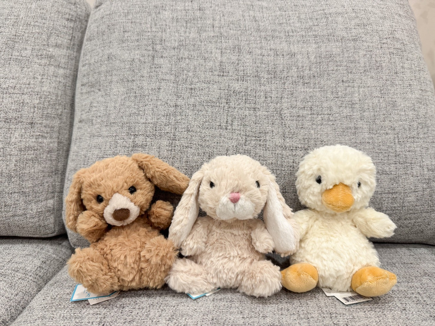 全新Jellycat正品|Yummy 美味小狗/ 美味狗🐶 15公分 Yummy Puppy