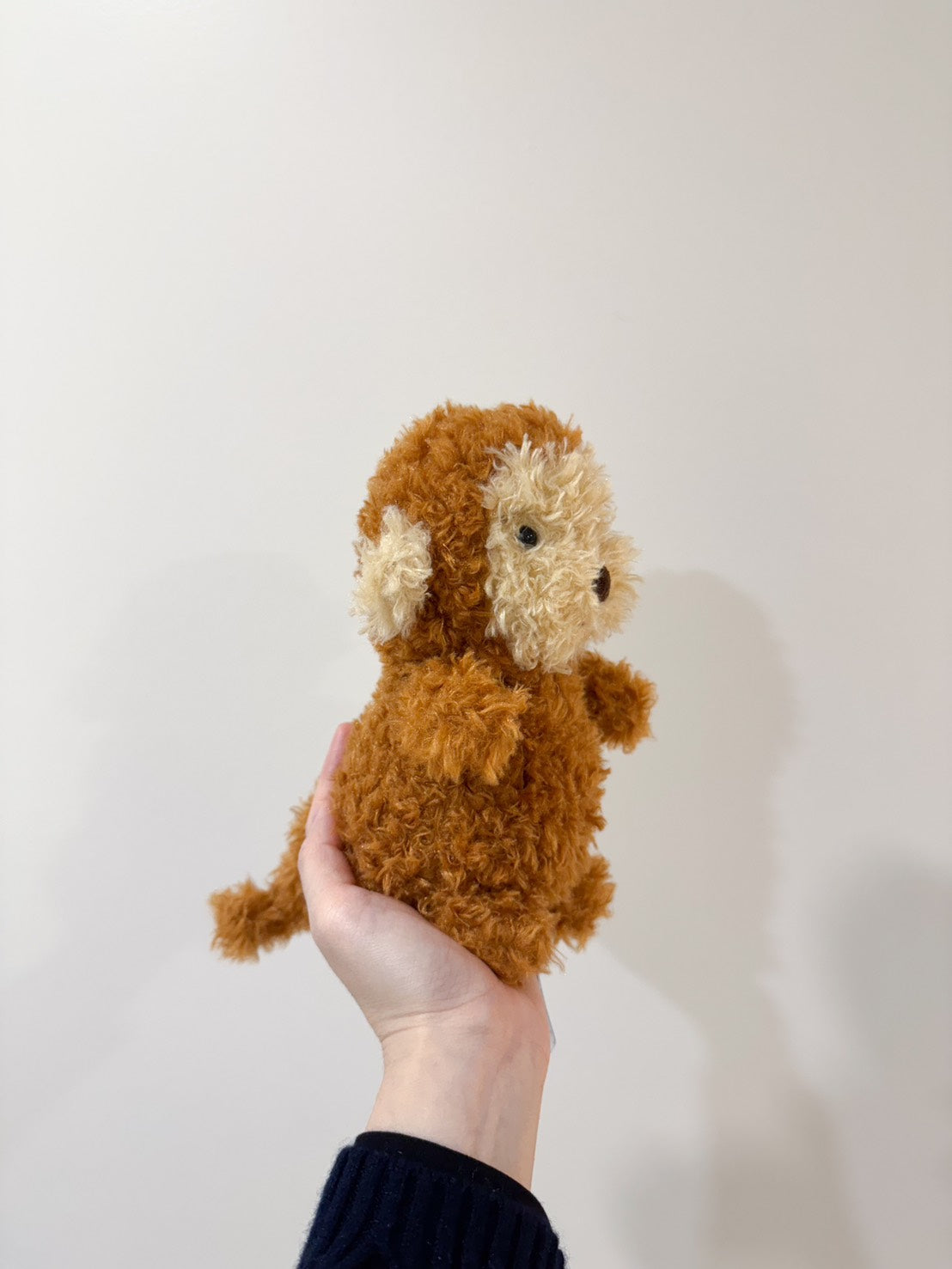 全新 Jellycat 正品｜Little 毛茸茸猴子 🐵 18公分 Little Monkey